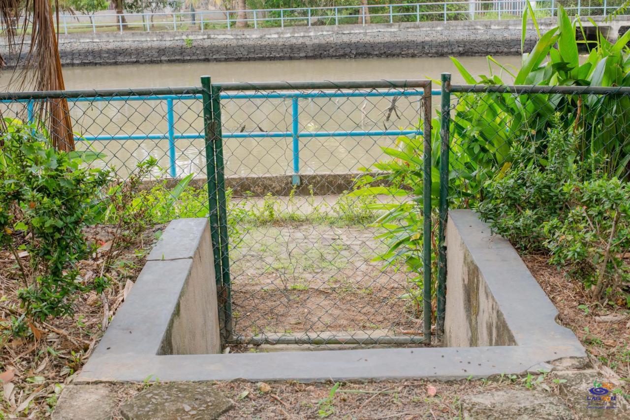 טנגלה Oasis Lagoon Garden מראה חיצוני תמונה